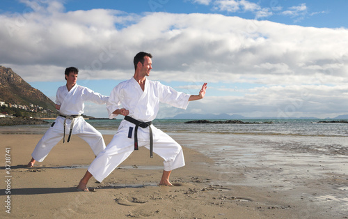 Εκτύπωση καμβά Young adult men with black belt practicing a Kata on the beach
