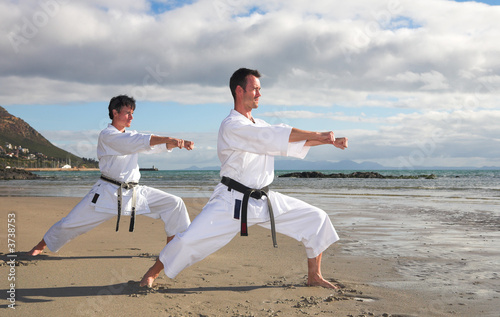 Αφίσα Young adult men with black belt practicing a Kata