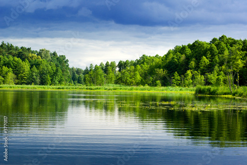 Nowoczesny obraz na płótnie Lake and forest.