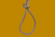 rope for hanging a bad man