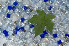 Green Maple Leaf With Clear Glass Marbles And Bright Blue Tiles