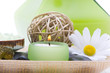 canvas print picture Spa objects on a tray
