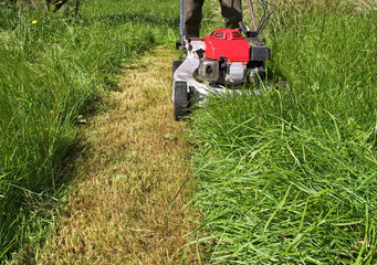 mowing the lawn