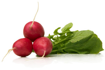 Poster - fresh radish