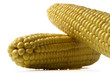 corn over white background