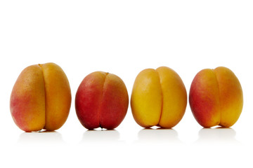 Poster - colorful apricots isolated over white background