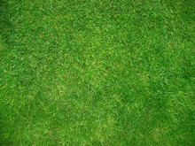 Immaculate Lawn At St Johns College Cambridge University