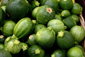 Fresh Organic Summer Squash and Zucchini at Farmer's Market