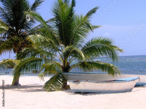 Foto-PVC Boden - Palmen am Strand mit Fischerboot -  Karibik (von LARS Photo Design)