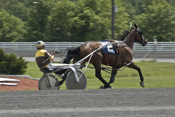 harness race