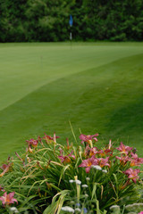 Wall Mural - Putting green and flowers