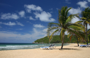 Picturesque Caribbean Beach