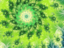 The Green Flower - Fractal Background