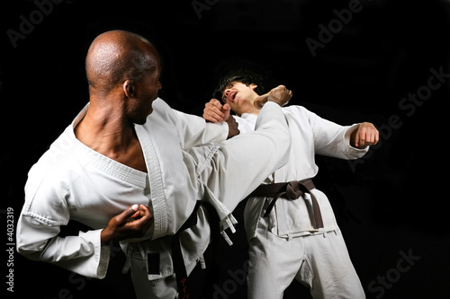 Dekoracja na wymiar  walka-karate