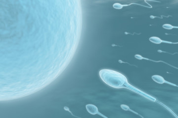 Poster - Sperm (Only one will get in)