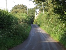 English Country Lane And Hedgerow