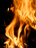 Fototapeta Miasto - Flames or fire