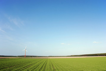 Wall Mural - clean energy
