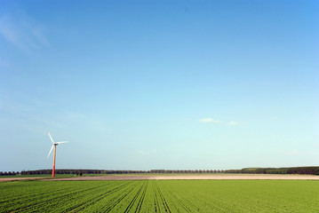 Wall Mural - clean energy