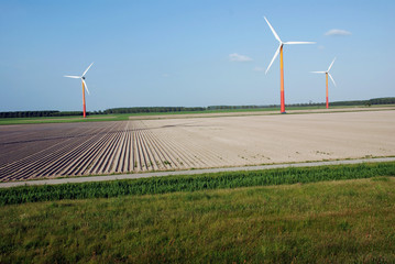 Wall Mural - clean energy