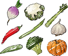 Vegetables Illustration