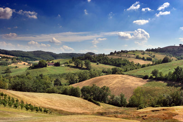 Heavenly hilly landscape