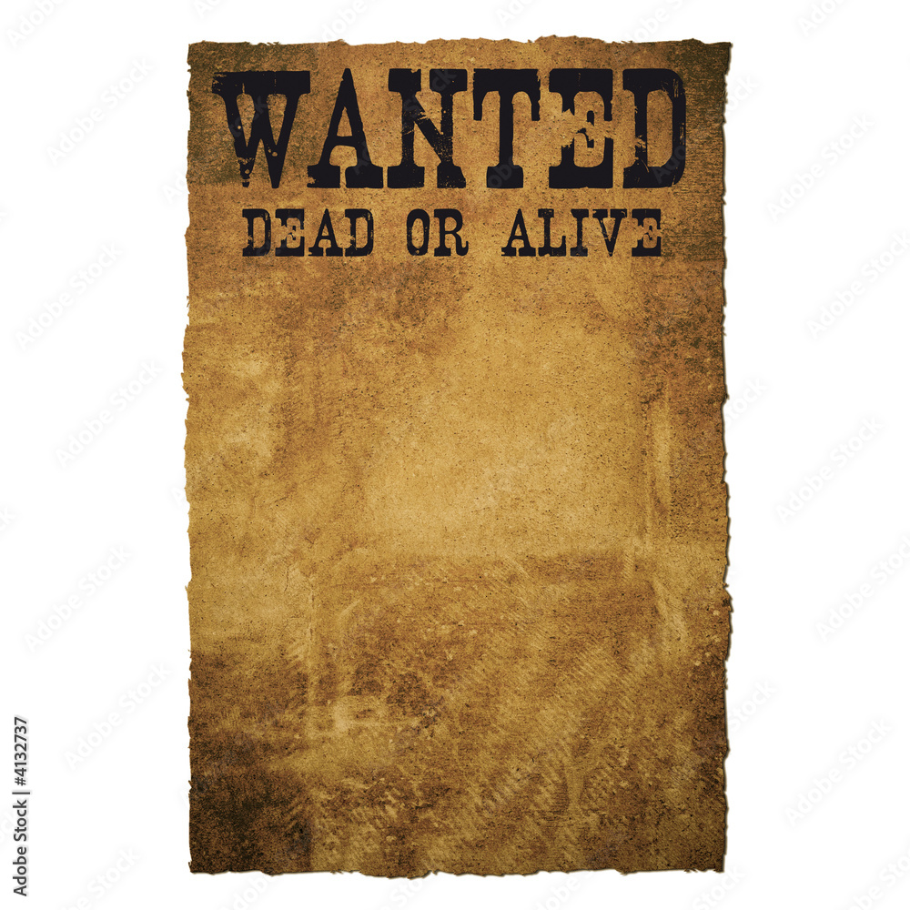 ONE PIECE WANTED Dead Or Alive Monkey D Luffy Poster 20cm X 28cm EUR 7