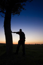 A Man's Silhouette In The Sunset With A Tree