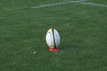 Canvas Print - rugby ball