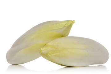 Canvas Print - endive