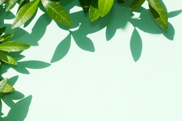 Wall Mural - floral ornament