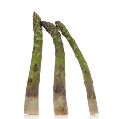 Canvas Print - asparagus