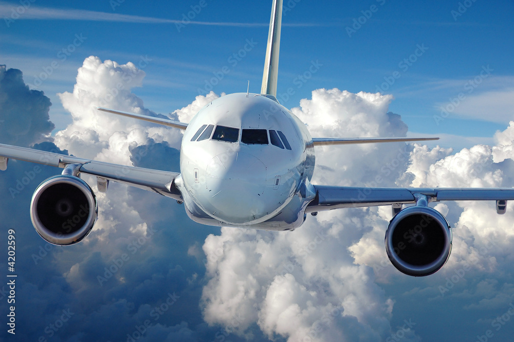 Commercial Airliner in Flight - obrazy, fototapety, plakaty 