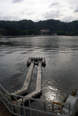 Wall Mural - Lake Kandy