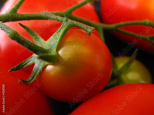 Zdjęcie XXL pomidory