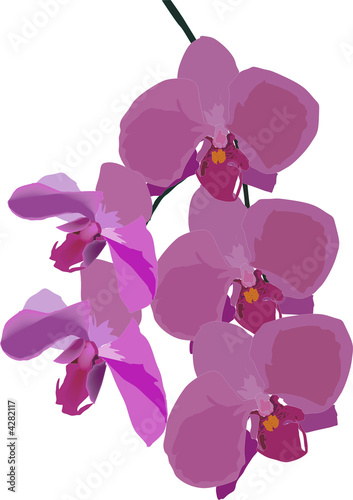 Naklejka - mata magnetyczna na lodówkę decoration with pink orchid