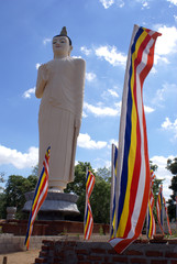 Wall Mural - White Buddha and buddhist flags