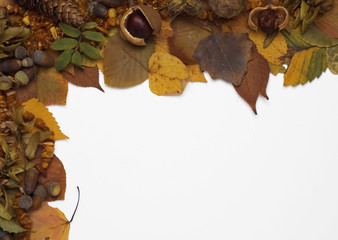 Poster - Autumn leaves, nuts and ambers frame