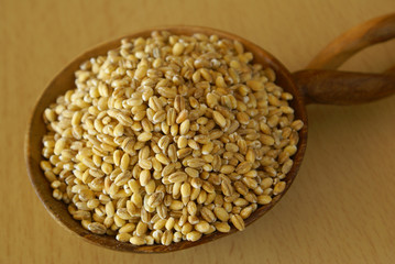 Sticker - Pearl barley on the wooden spoon