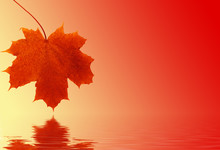 Maple Leaf Reflected In Rendered Water