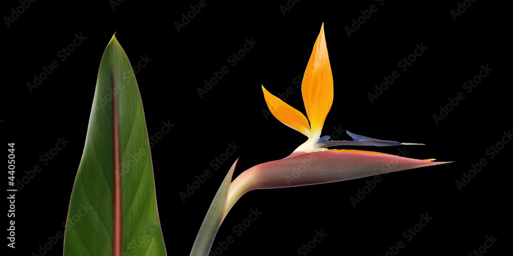 Téléchargement gratuit Images Em 5wzjympdgbm le plus cool par