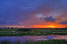 Everglades Sunset 