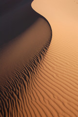 Wall Mural - Sahara Desert