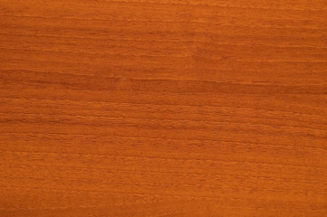 Wall Mural - Texture of wood - can be used as a background