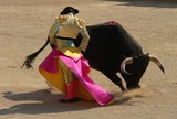 corrida des vendanges