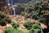Fototapeta Desenie - cascades d'ouzoud dans la région de marrakech