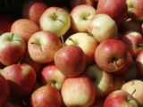 Fototapeta Kuchnia - rote äpfel