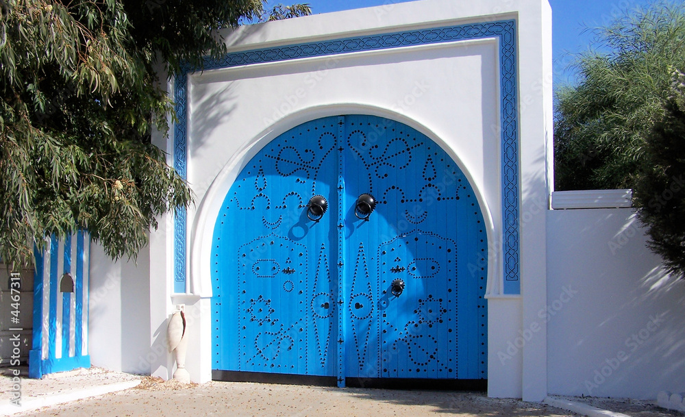 Porte de Tunisie - obrazy, fototapety, plakaty 