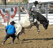 Bull & Cowboy Rider