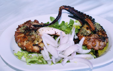 A big grilled octopus with white cream